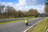 Advanced Group Yellow Bikes